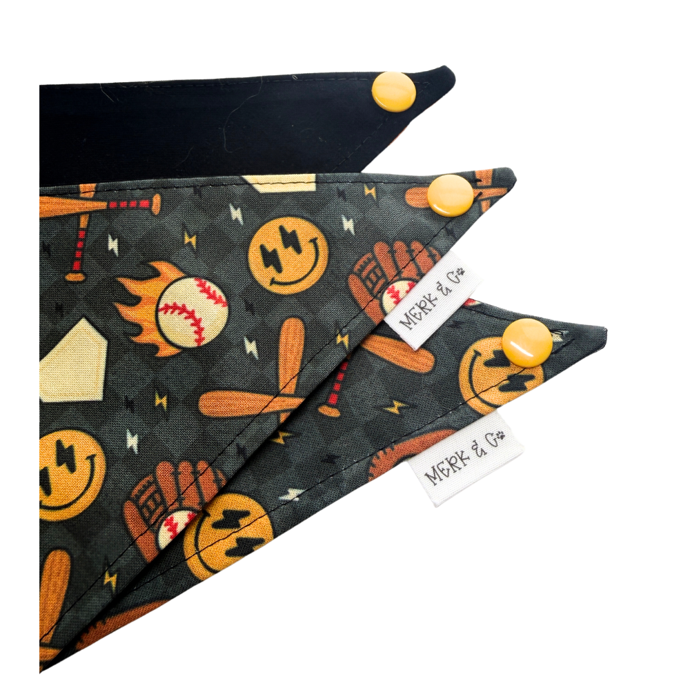 Checkered Pitches Be Crazy Reversible Baseball Bandana for Pets
