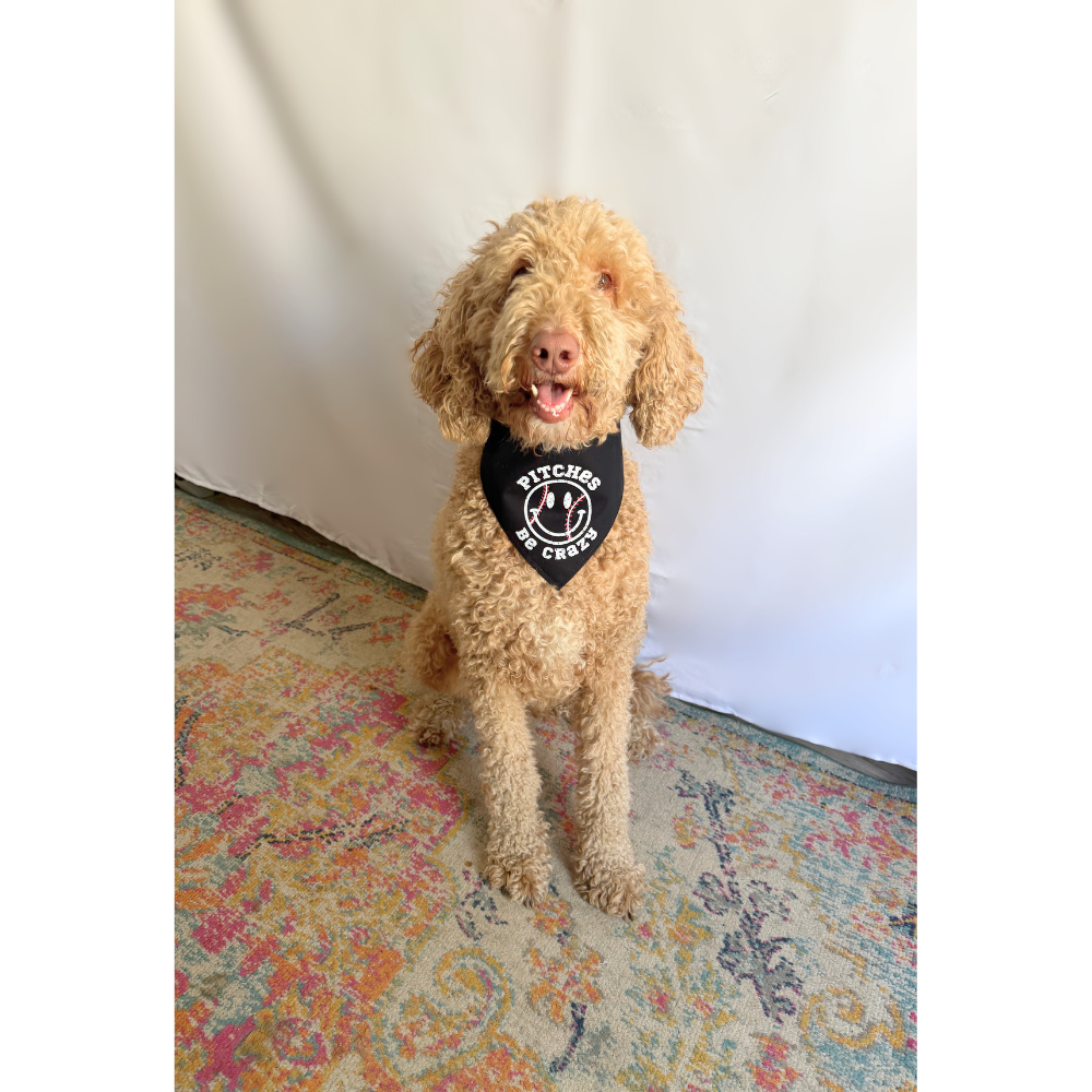 Checkered Pitches Be Crazy Reversible Baseball Bandana for Pets