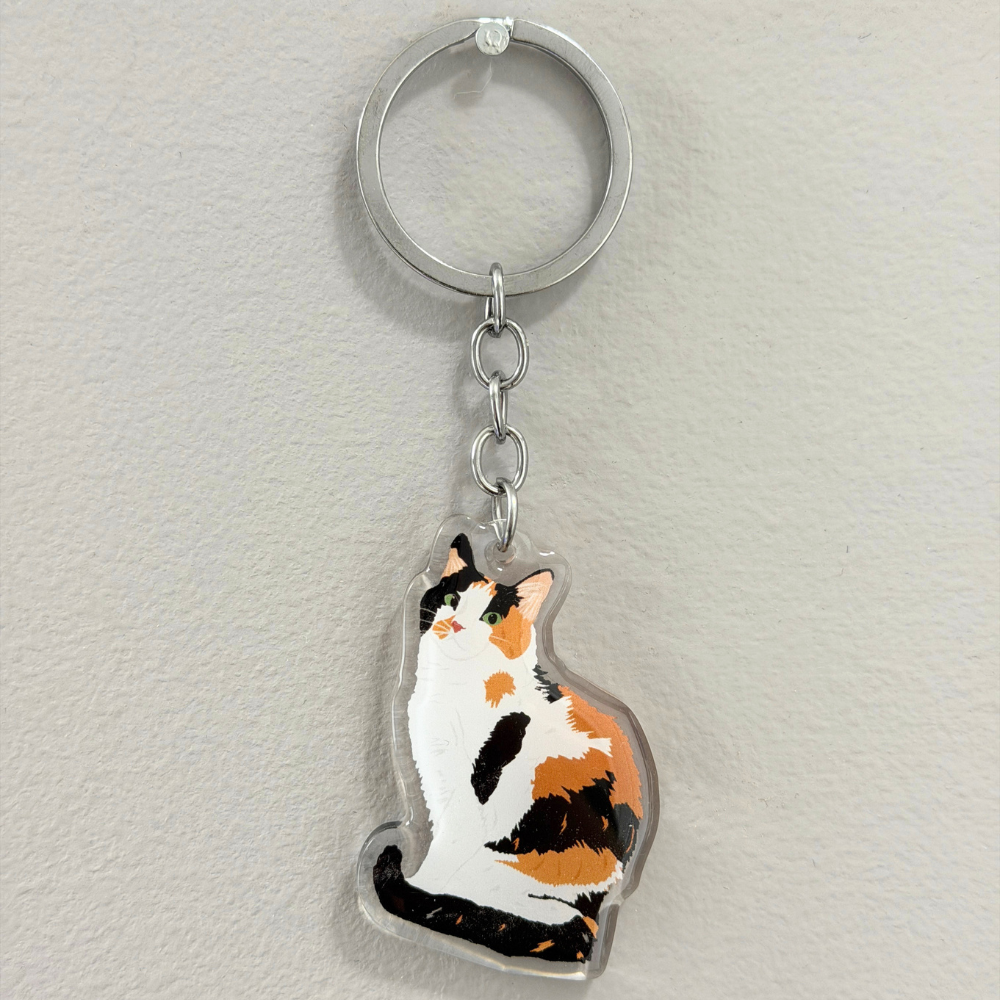 Calico Cat