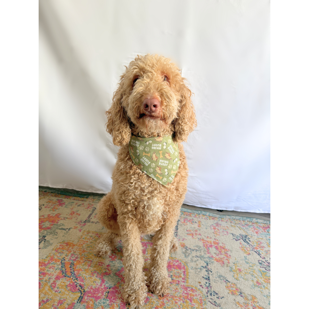 Hiking Buddy Outdoorsy Reversible Bandana for Pets