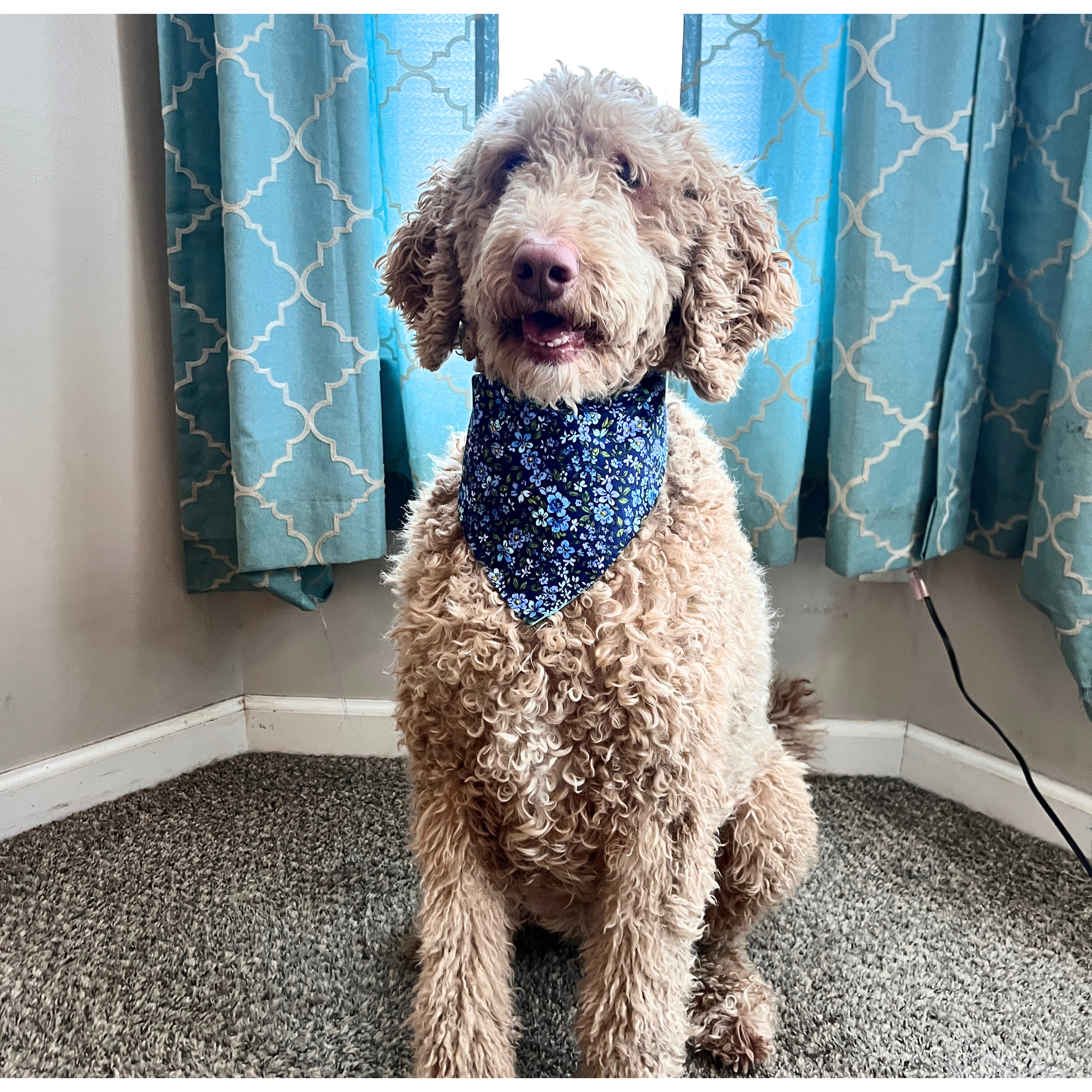 Blue Spring Florals Bandana