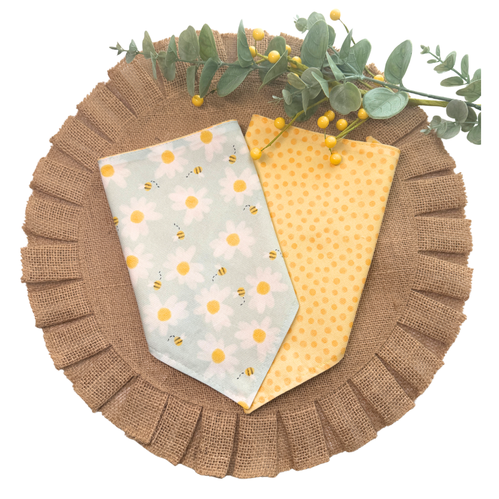 Spring Bees with Daisies Reversible Spring Bandana for Pets