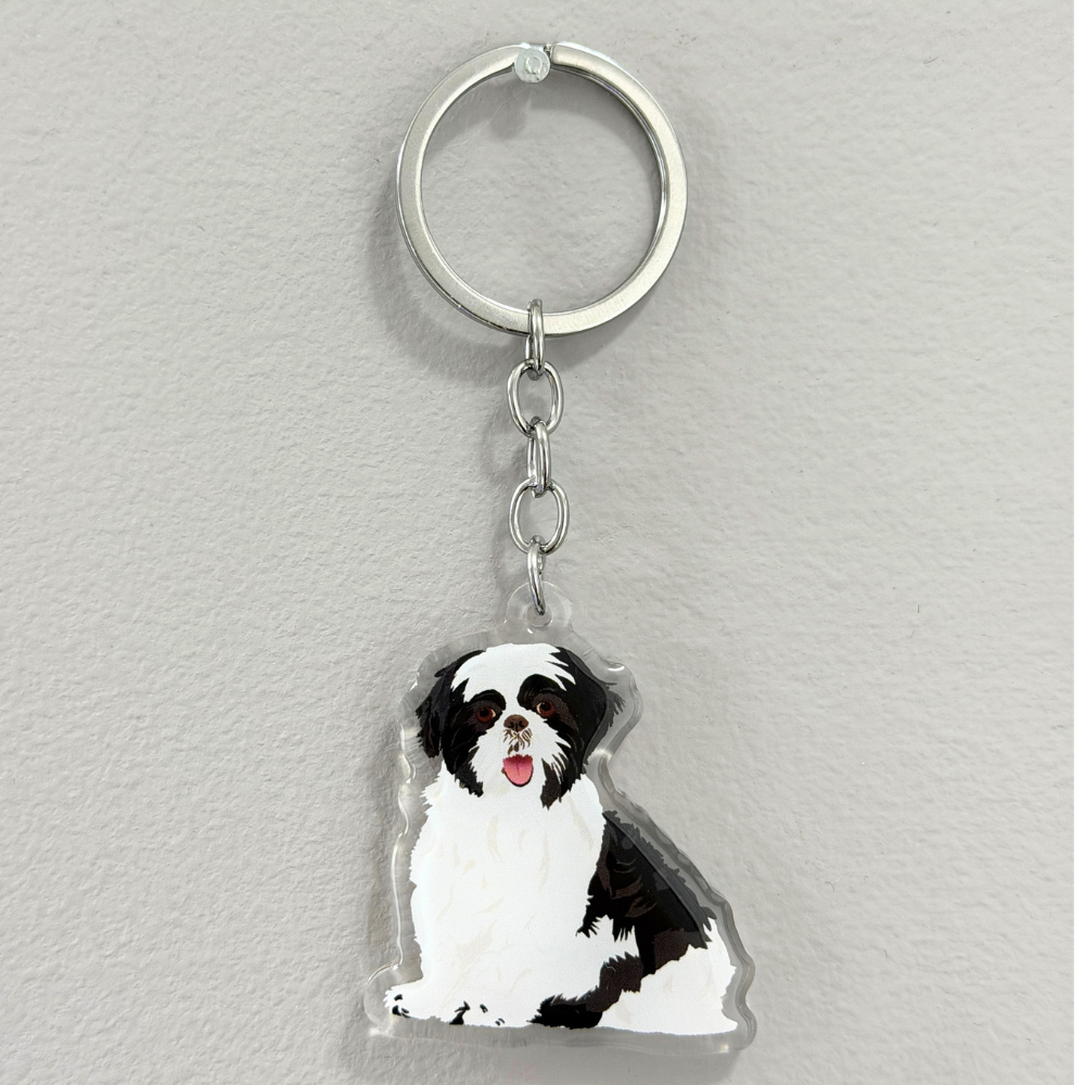 Black and White Shih Tzu