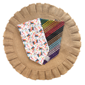 Pride Flags Bandana