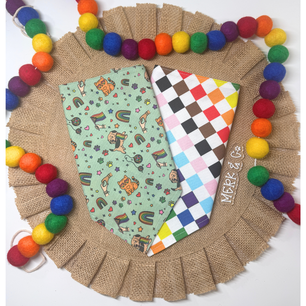 Pride Vibes Bandana