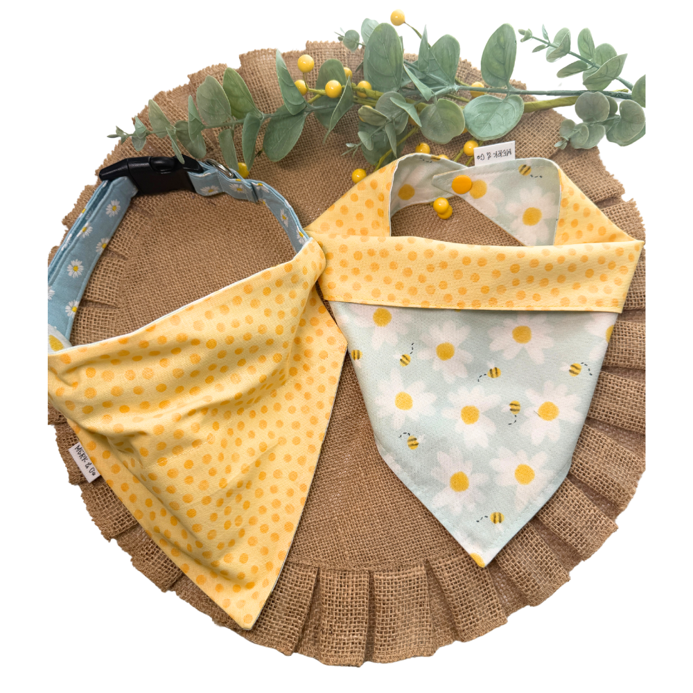 Spring Bees with Daisies Reversible Spring Bandana for Pets