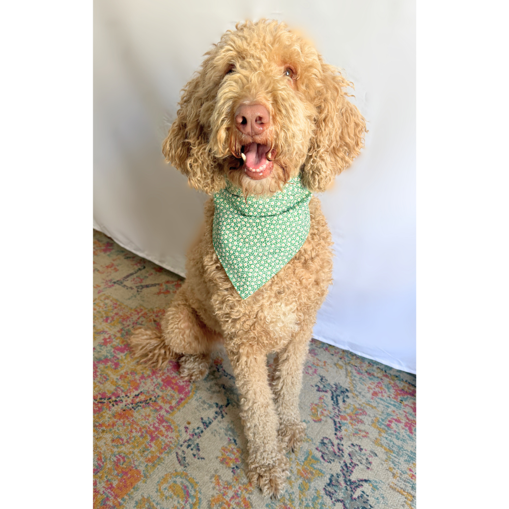 Small Daisy Flowers Reversible Spring Bandana for Pets