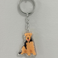 Airedale