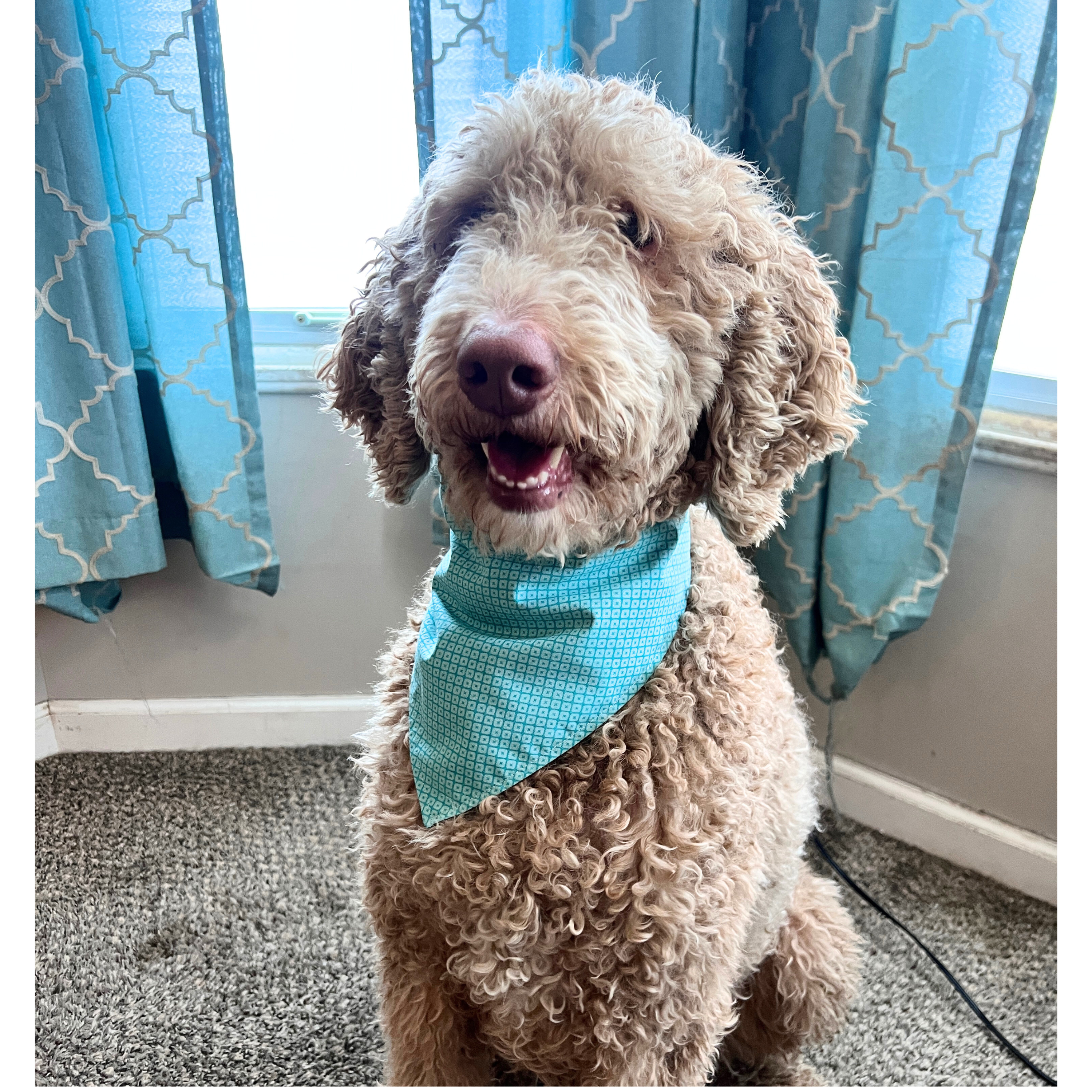 Blue Spring Florals Bandana