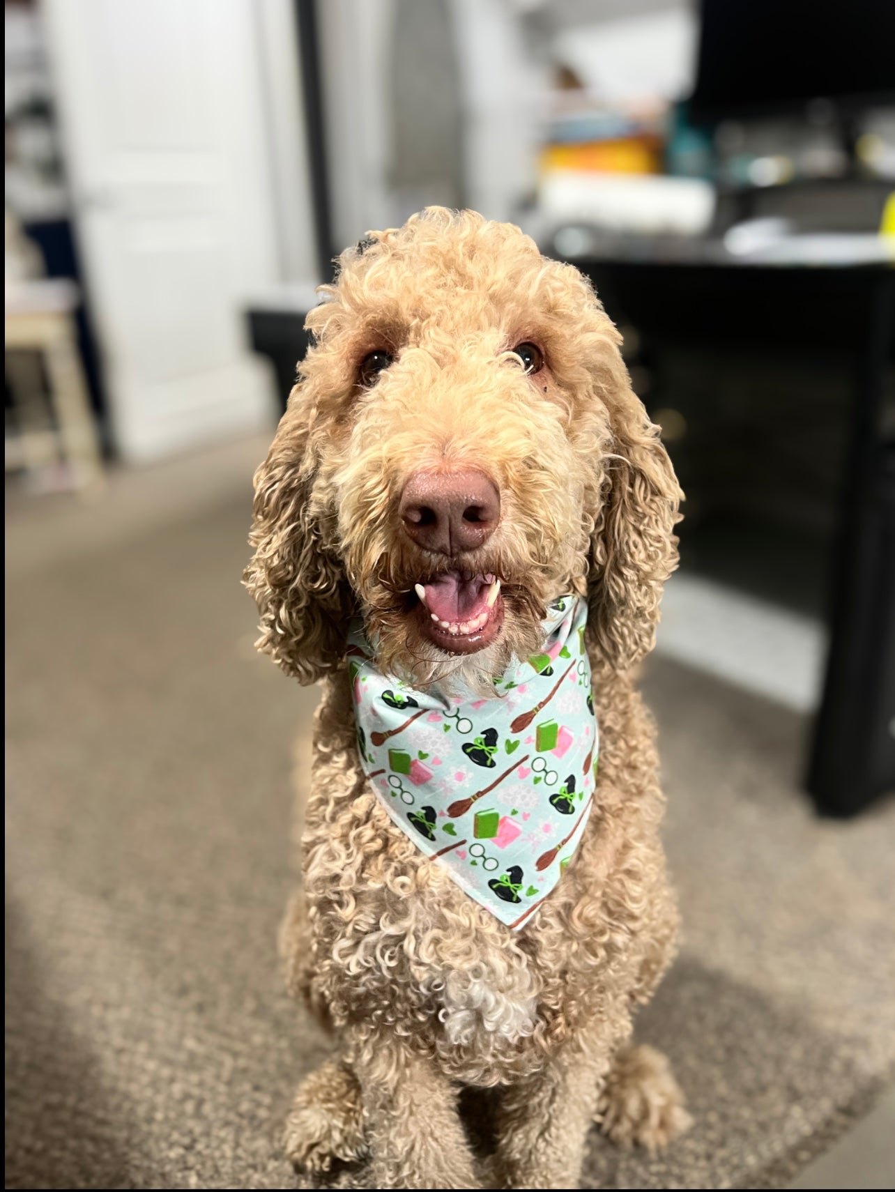 Wickedly Cute Bandana