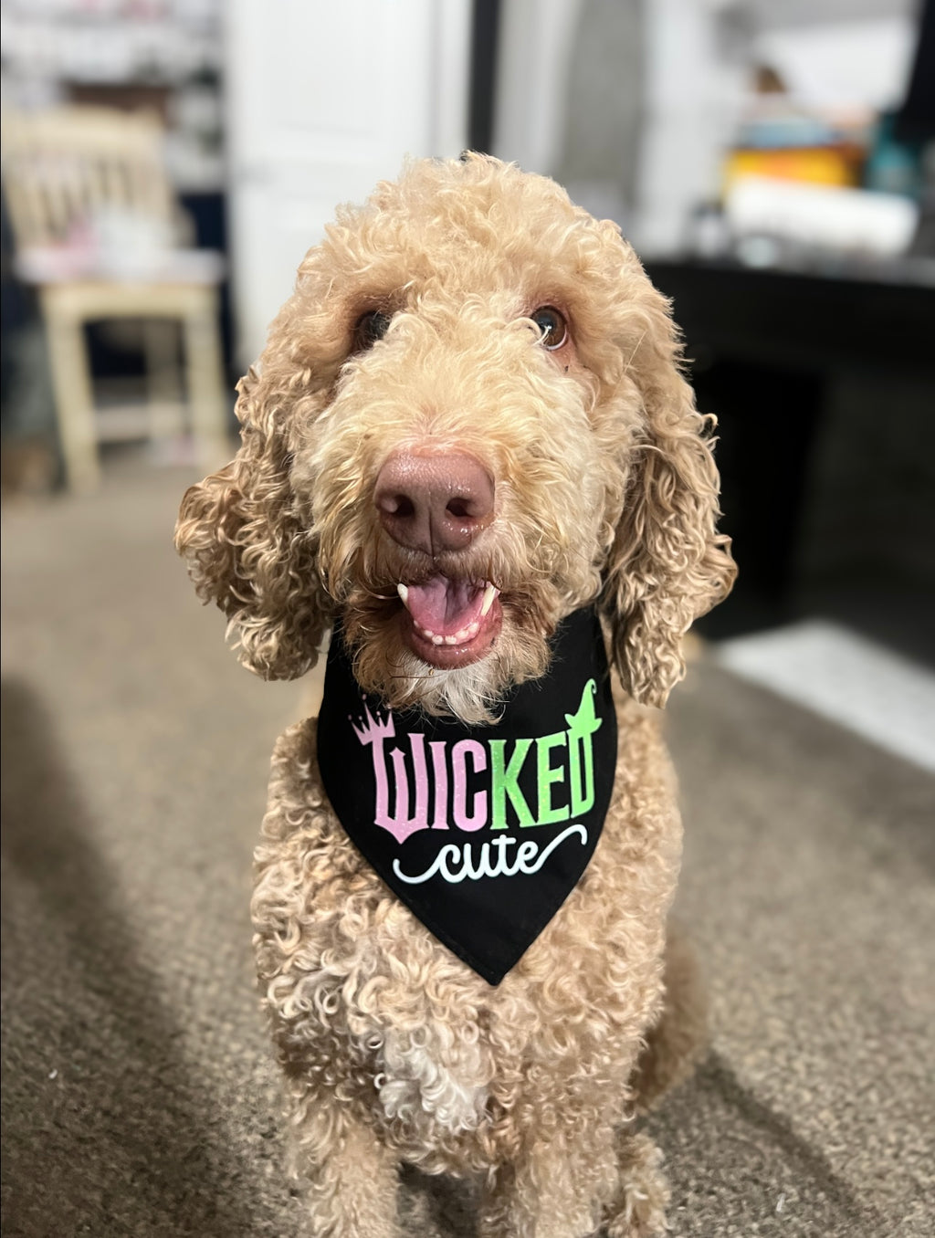 Wickedly Cute Bandana
