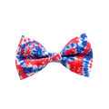 Red, White, & Blue Tye Dye Bow Tie